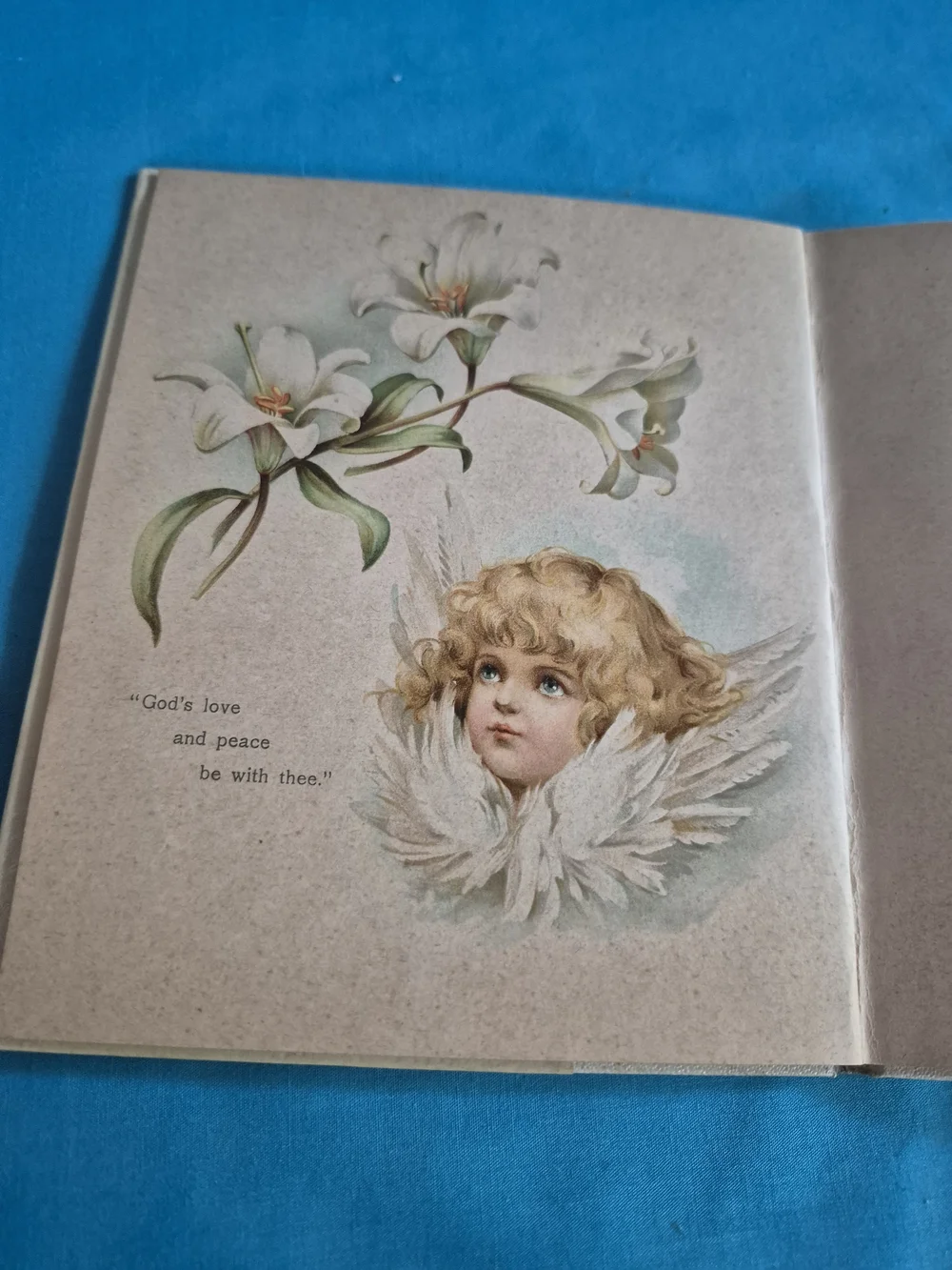 Mizapah Antique Booklet 1897 Printed in Bavaria Ernest Nister C P Dutton Wrapper